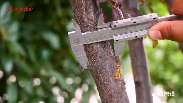 telescopic fruit picker and tree pruner смотреть онлайн