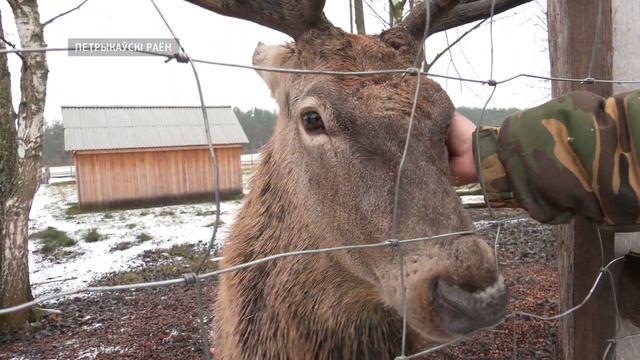 Полесский Дед Мороз смотреть онлайн