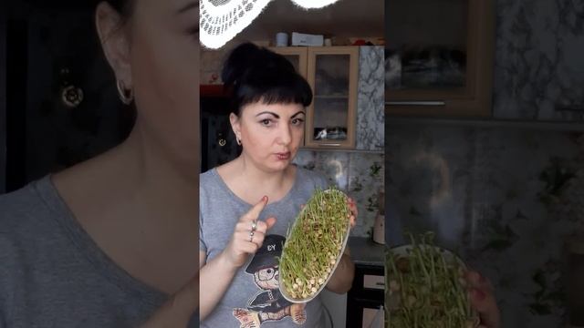 ЛАЙФАК.Проросший горох очень полезен для организма??? смотреть онлайн