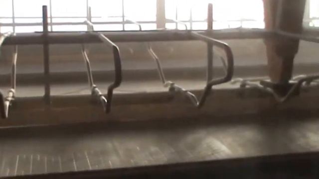 Строительствокомплекса СПК Белосток Кривошеинский район смотреть онлайн