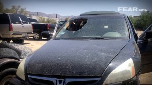 Загадочные повреждения машины и пропавшая девушка. Что случилось с Эрикой Ллойд