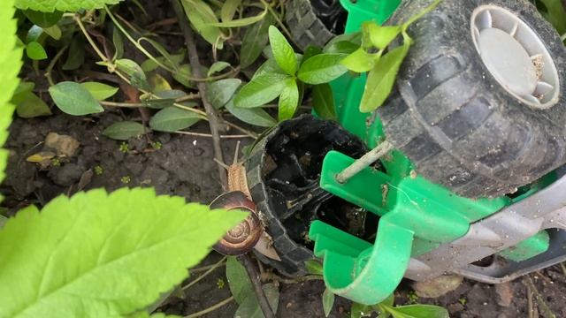 Vlog Погода в Ставрополе мешает строительству. Иван Улыбашев. смотреть онлайн