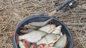 ВЕСЕННЯЯ РЫБАЛКА! СТОЛЬКО КРУПНОЙ КРАСНОПЕРКИ ЕЩЁ НЕ ЛОВИЛ👍👍