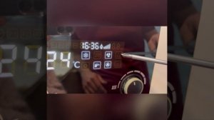 Обзор Котел газовый настенный ARIDEYA GRAND - 18 FF