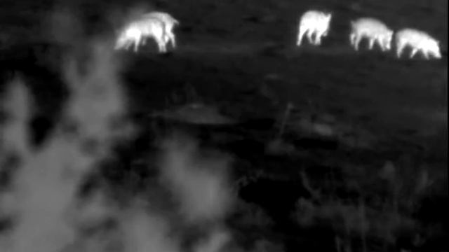 Axion xm30 Jabalí смотреть онлайн