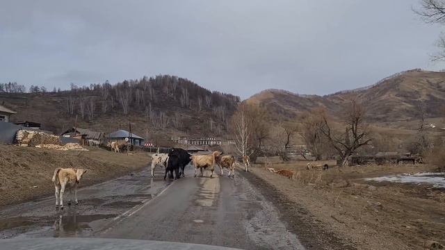 We met Justus Walker смотреть онлайн