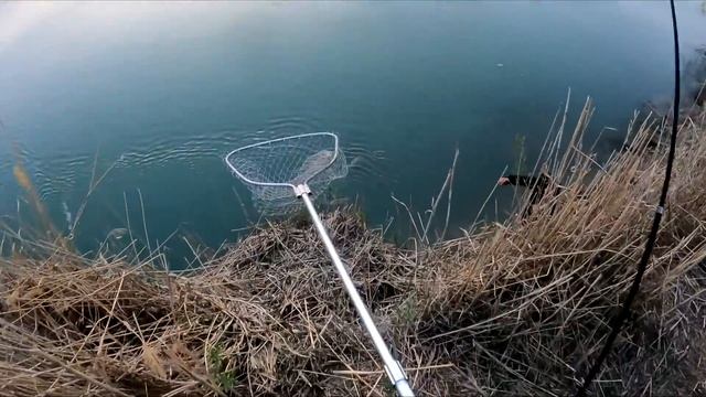 РЫБАЛКА ВЕСНОЙ НА САЗАНА! На реке ИЛИ! ТРИ ДНЯ прёт на закидушки! Сазан, Карп, Карась. Рыбалка 2022 смотреть онлайн