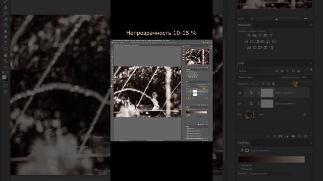Красивая ЧБ тонировка в Фотошопе смотреть онлайн