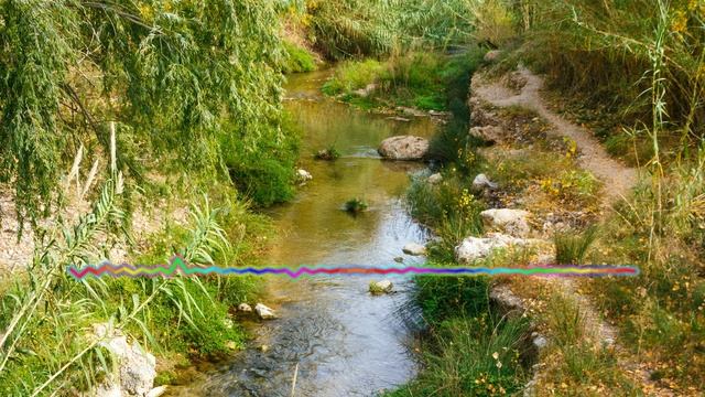 Лариса Алишихова - Савли - Савли 2024