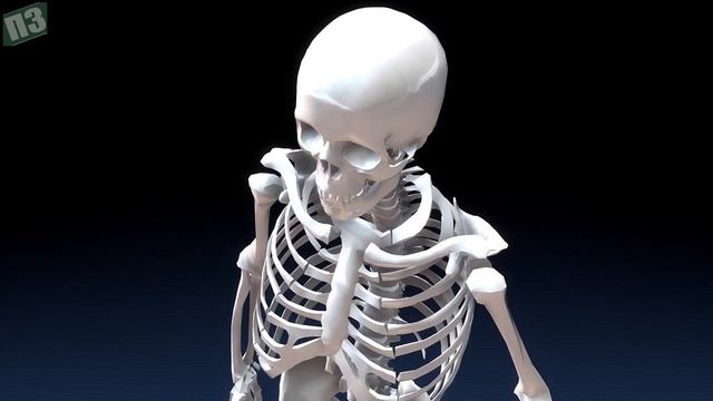 Вот что произойдет с организмом, если начать есть Брокколи. Невероятная польза Брокколи