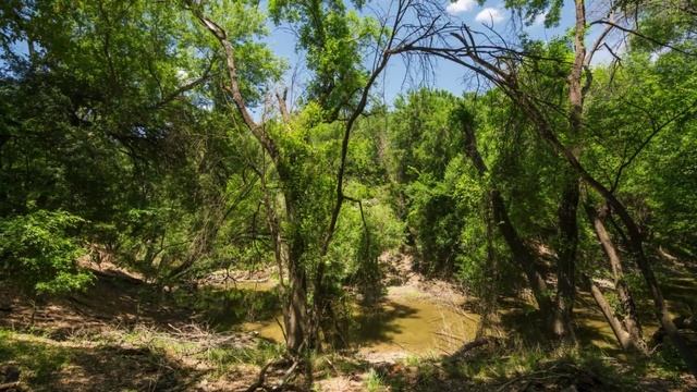 293 Zavala Crystal City Property Video 1080p смотреть онлайн