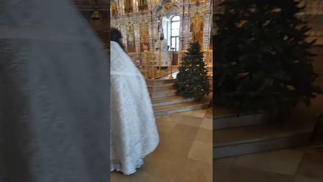 Рождественский сочельник. Тропарь смотреть онлайн