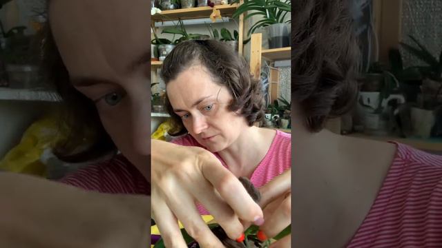 Мастер пис смотреть онлайн