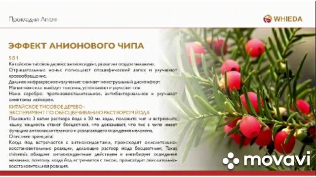 WHIEDA. Aнионовые прокладки+ смотреть онлайн