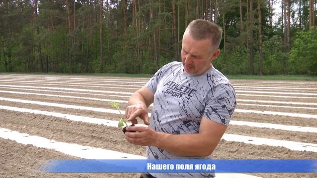 Игорь Гринько благодаря уникальным технологиям выращивания арбузов добивается рекордных урожаев смотреть онлайн