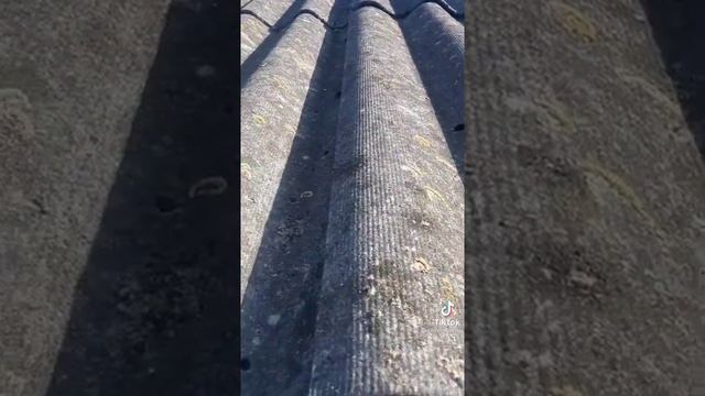 Шифер можно очистить керхером... смотреть онлайн