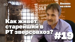 Бизнес на селе #19 | «Разводим соболей. Накладно, но выгодно»_ чем живет старейший в РТ зверсовхоз