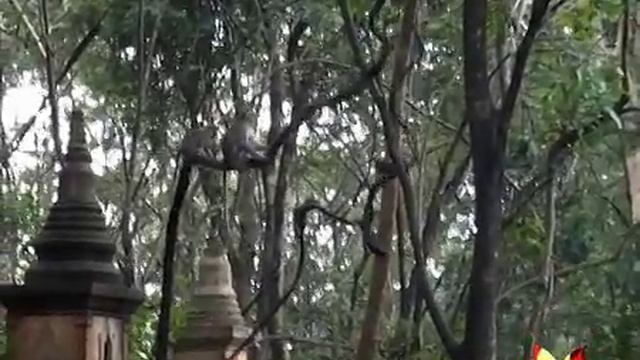 Таиланд смотреть онлайн