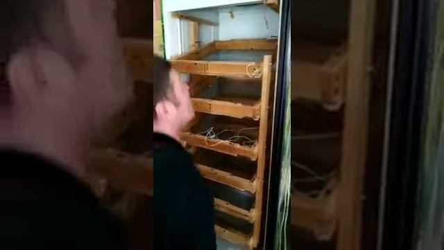 Инкубатор на 500 яиц , за 10 тысяч рублей смотреть онлайн