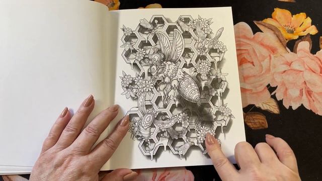 Dimensions | Flip Through смотреть онлайн