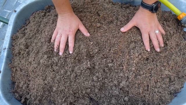 Гортензия сбежавшая невеста смотреть онлайн