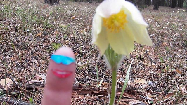 Палец удалец в лесу