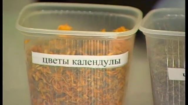 Antifungal Herbs (антигрибковые травы)