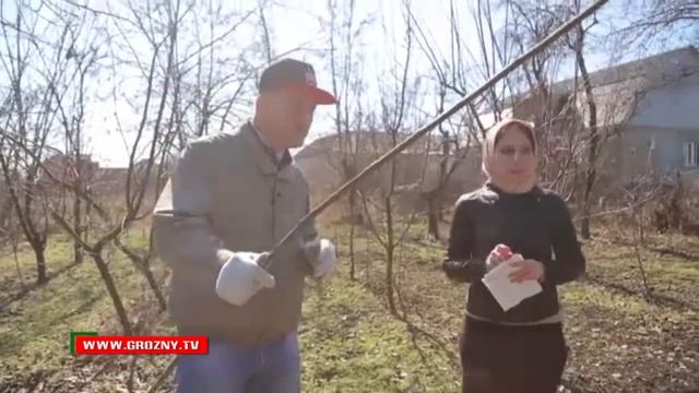 Дачные истории. Уход за плодовыми деревьями ранней весной смотреть онлайн