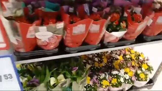 СТРОИТЕЛЬНЫЙ МАГАЗИН ОМА? ГОРОД ГОМЕЛЬ❤ смотреть онлайн