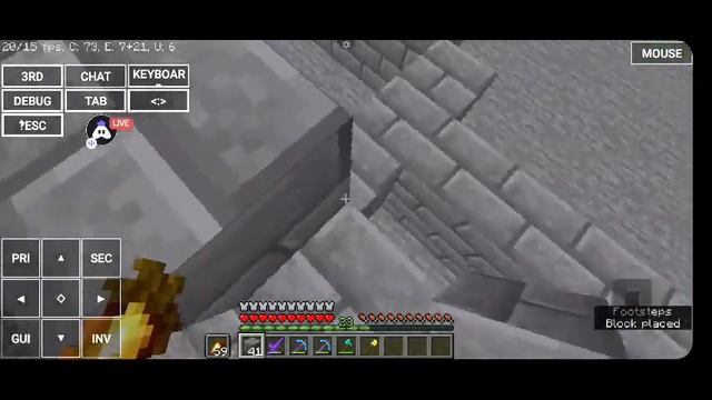 MINECRAFT LIVE WITH SUBSCRIBER | JAVA+PE 24/7 | ALL VERSION SUPPORT #live #minecraftlive смотреть онлайн