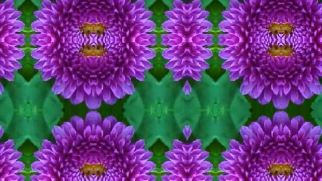 dhallie zinnia смотреть онлайн