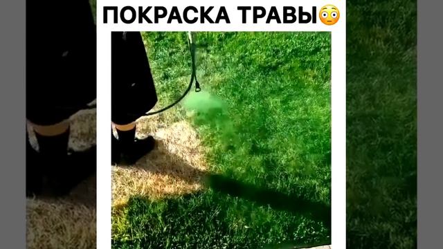 Покраска травы #ОДЕССА смотреть онлайн