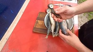 Чистилка для рыбы своими руками, крутая самоделка для рыбаков!!!