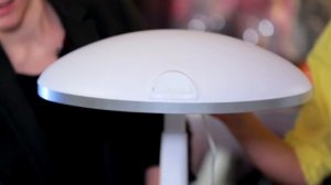 Гидропонная установка дома: что можно вырастить?