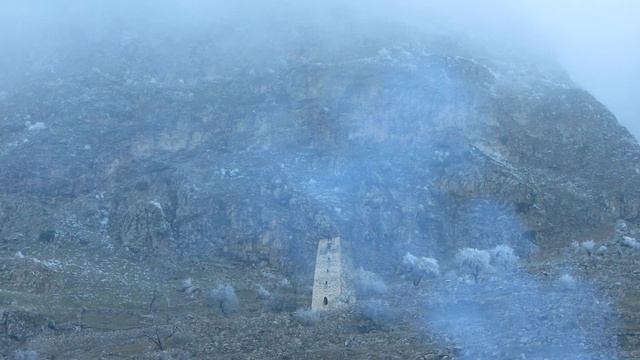 MVI_8169 смотреть онлайн