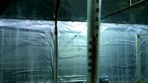 Теплица термос без отопления зимой - Эксперимент часть вторая февраль