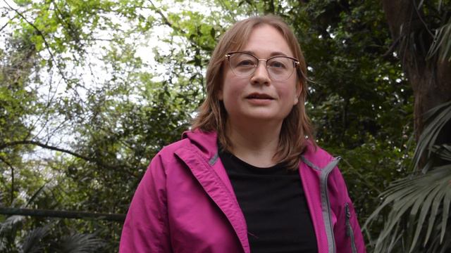 На муниципальных территориях г. Сочи продолжается высадка каштана смотреть онлайн