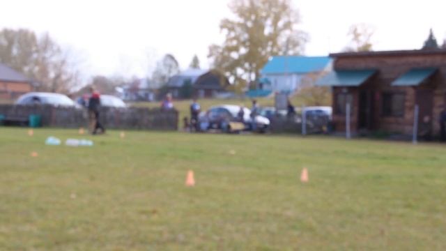 ВЕО АЛТЫН ШОР РАСКАТ ГРОМА, группа Б, 57 баллов. смотреть онлайн