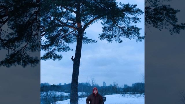 стены