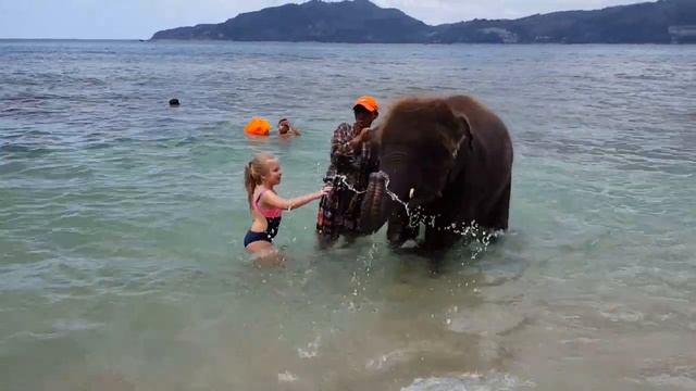 Пхукет , купание со слонами. 2017 . смотреть онлайн