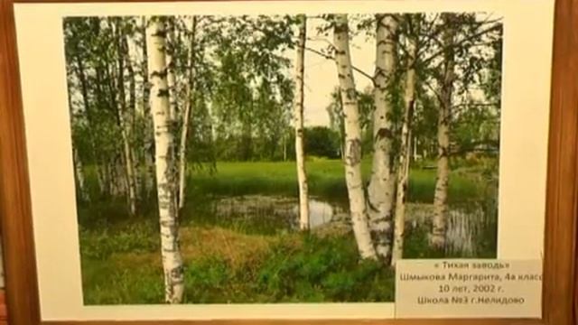 Выставка "Зеркало природы" в 4 шк. смотреть онлайн