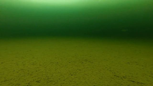 Север Весна 2017 смотреть онлайн