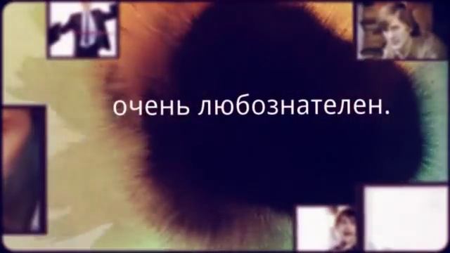 Значение имени Александр смотреть онлайн