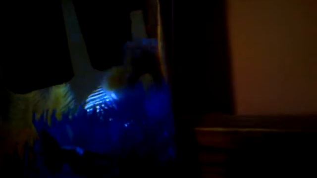 My guppies, my otocinclus and my ghost shrimp! смотреть онлайн