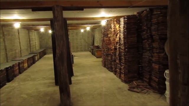 Чем занимаемся, как зимуют пчелки.