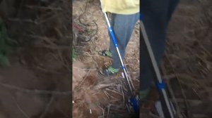 Триммер из движка стиралки