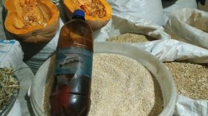 Как заставить кур нести яйца? Рацион питания для кур несушек в нашем хозяйстве.