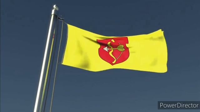 Флаг города Пинск и Пинского района (Беларусь) смотреть онлайн