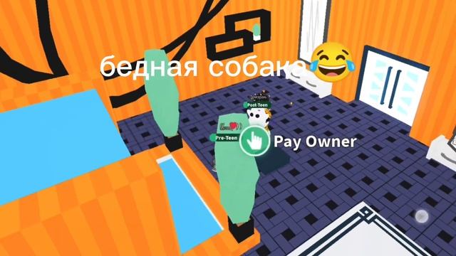 девочка кое что делает с собакой смотреть онлайн