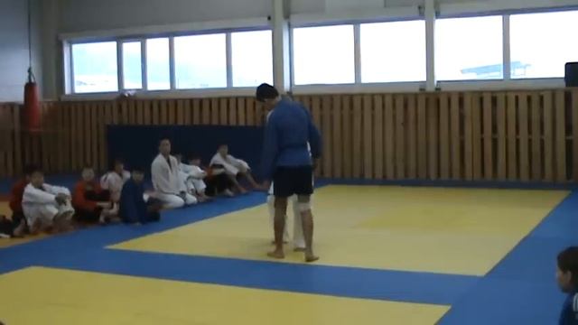 Educational and training seminar Milan Vuychich (Serbia) and Roman Karasev (Russia) смотреть онлайн